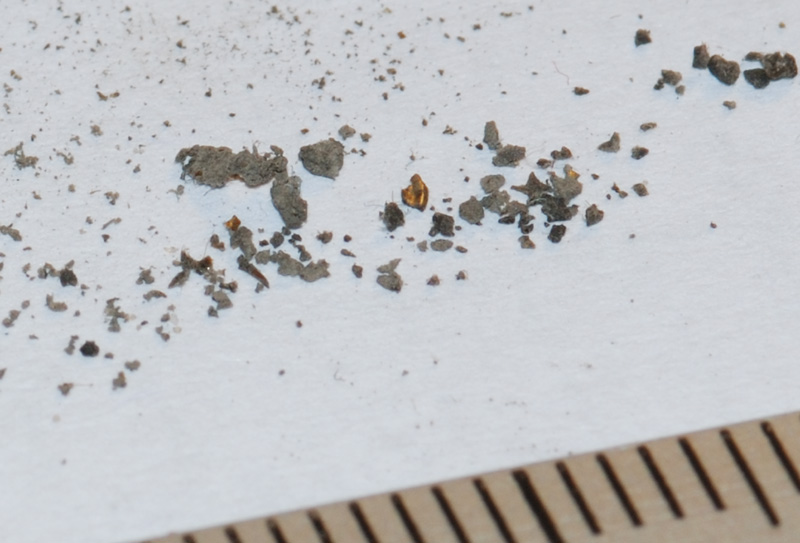 Sorpresa misteriosa al rientro dalle vacanze...